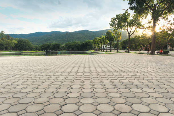 Best Driveway Paving Contractor  in Brookridge, FL